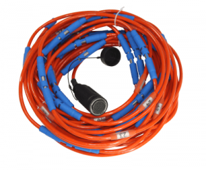 seismic cable